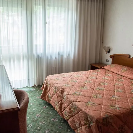 호텔 Hotel Moena 3*