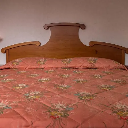 Hotel Moena 3* 모에나